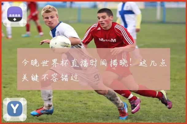 今晚世界杯直播时间揭晓！这几点关键不容错过